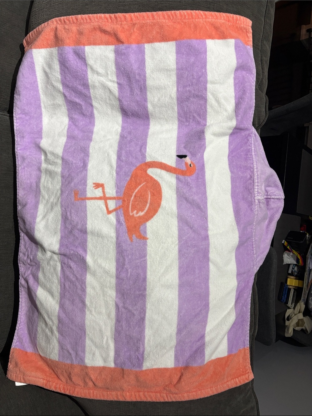 Pottery Barn Kids Baby Beach Wrap